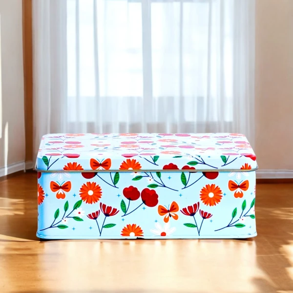 Multi color Storage Box  (Big Size)